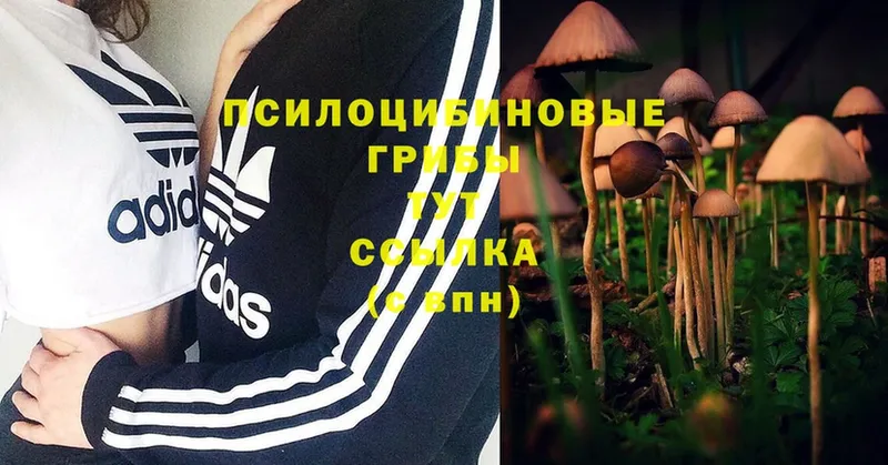 Псилоцибиновые грибы MAGIC MUSHROOMS  Балашов 