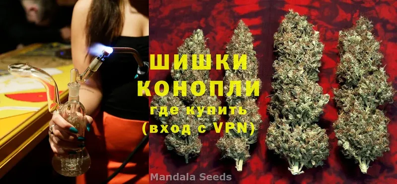 цена   Балашов  Канабис SATIVA & INDICA 